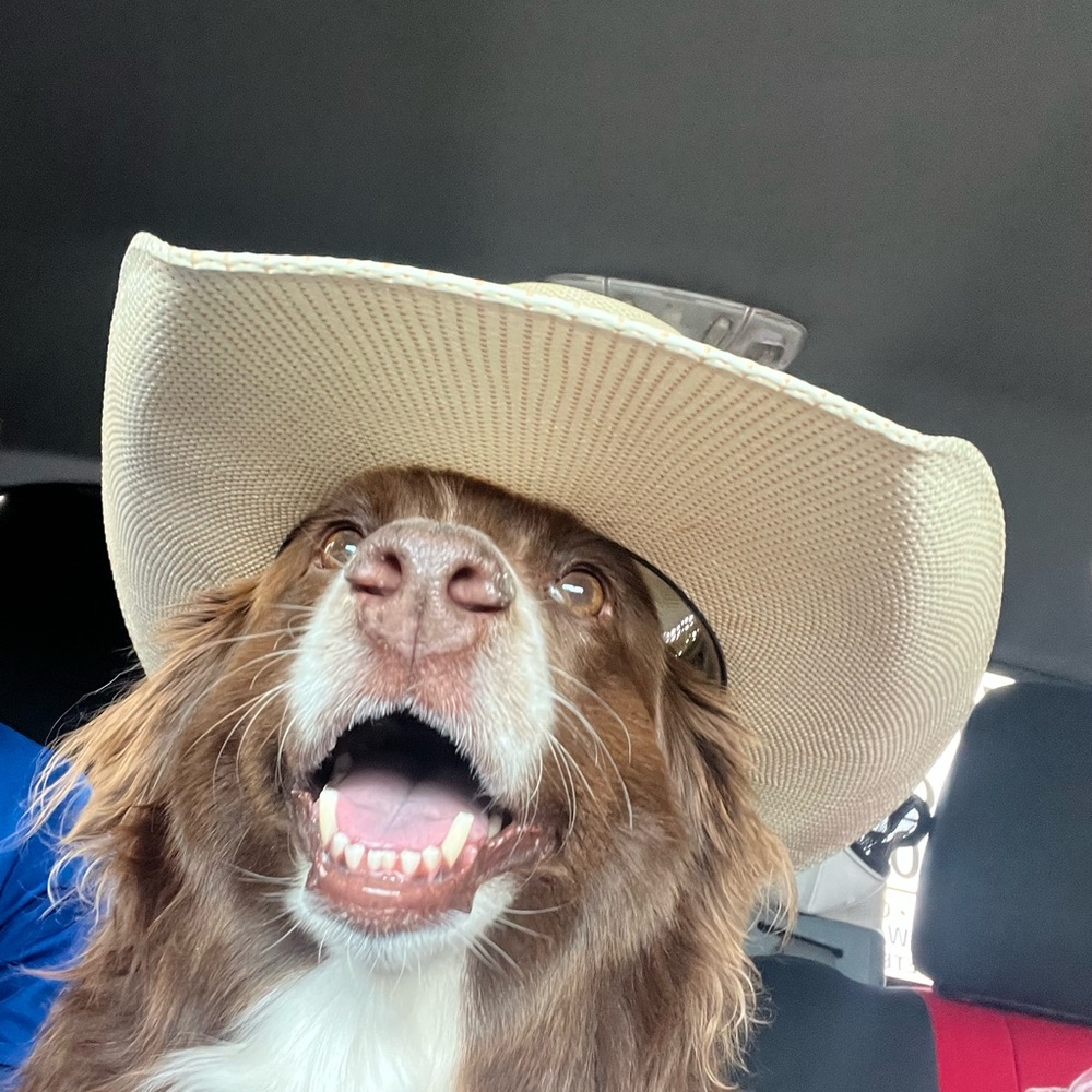 Meet your Posher, Connor